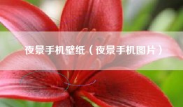 夜景手机壁纸（夜景手机图片）