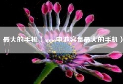 最大的手机（oppo电池容量最大的手机）