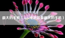 最大的手机（oppo电池容量最大的手机）