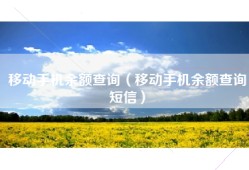 移动手机余额查询（移动手机余额查询短信）