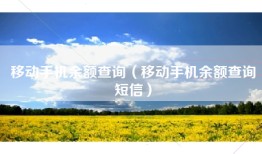 移动手机余额查询（移动手机余额查询短信）