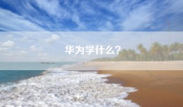 华为学什么？