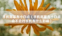 手机屏幕有小白点（手机屏幕有小白点会不会对手机有什么影响）