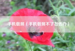 手机载屏（手机载屏不了怎么办）