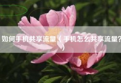 如何手机共享流量（手机怎么共享流量？）
