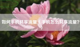 如何手机共享流量（手机怎么共享流量？）