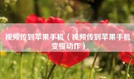 视频传到苹果手机（视频传到苹果手机变慢动作）