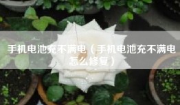 手机电池充不满电（手机电池充不满电怎么修复）
