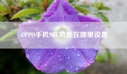 OPPO手机NFC功能在哪里设置