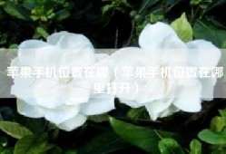 苹果手机位置在哪（苹果手机位置在哪里打开）