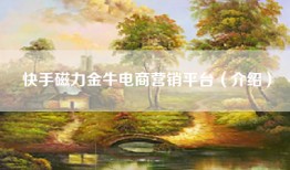快手磁力金牛电商营销平台（介绍）