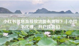 小红书信息流投放功能有哪些？｜小红书代理、开户找我们