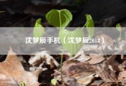 沈梦辰手机（沈梦辰2018）