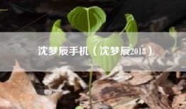 沈梦辰手机（沈梦辰2018）