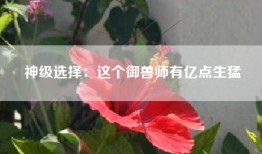 神级选择：这个御兽师有亿点生猛