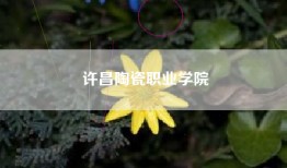 许昌陶瓷职业学院
