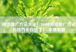 网络推广方法大全！100种网络推广方法和技巧全在这了！-来推联盟