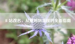 B 站改名，从规则到流程的全面指南