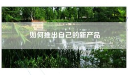 如何推出自己的新产品