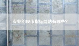 专业的股市指标网站有哪些？