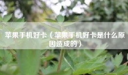 苹果手机好卡（苹果手机好卡是什么原因造成的）