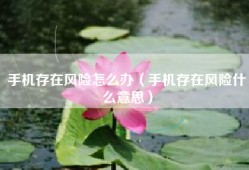 手机存在风险怎么办（手机存在风险什么意思）
