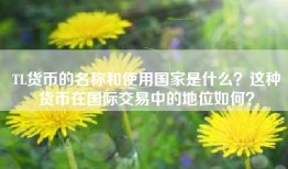TL货币的名称和使用国家是什么？这种货币在国际交易中的地位如何？