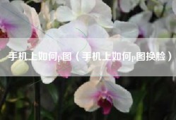 手机上如何p图（手机上如何p图换脸）