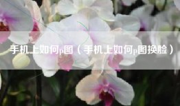 手机上如何p图(手机上如何p图换脸)