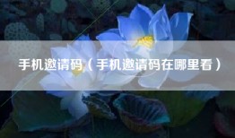 手机邀请码（手机邀请码在哪里看）