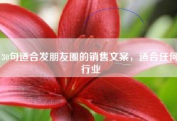 30句适合发朋友圈的销售文案，适合任何行业