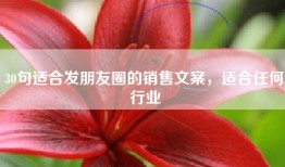 30句适合发朋友圈的销售文案，适合任何行业