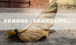 手机视频调色（手机视频调色软件app）
