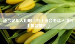 适合老年人用的手机（适合老年人用的手机智能机）