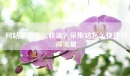 网站采集怎么收录？采集站怎么快速获得流量