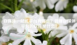 自媒体一站式平台有哪些？管理自媒体平台的软件是什么？