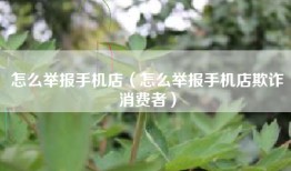 怎么举报手机店（怎么举报手机店欺诈消费者）