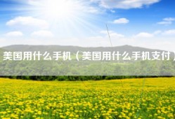 美国用什么手机（美国用什么手机支付）