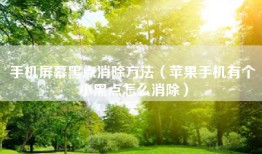 手机屏幕黑点消除方法（苹果手机有个小黑点怎么消除）