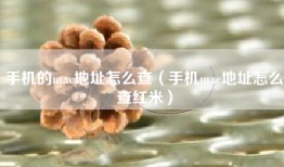 手机的mac地址怎么查（手机mac地址怎么查红米）