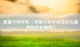 屏幕小的手机（屏幕小的手机性价比最好的手机推荐）