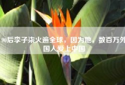 90后李子柒火遍全球，因为她，数百万外国人爱上中国