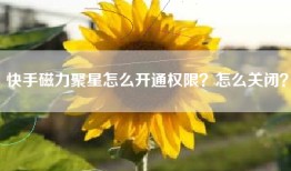 快手磁力聚星怎么开通权限？怎么关闭？