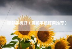 哪部手机好（哪部手机好用推荐）