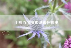 手机百度搜索设置在哪里