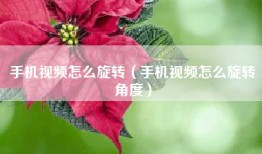 手机视频怎么旋转（手机视频怎么旋转角度）