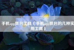 手机app抓包工具（手机app抓包的几种实用工具）