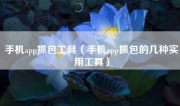 手机app抓包工具（手机app抓包的几种实用工具）