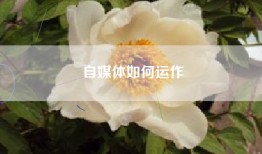 自媒体如何运作