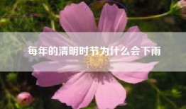 每年的清明时节为什么会下雨